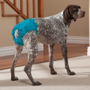 2 dog washable diapers large pink and purple